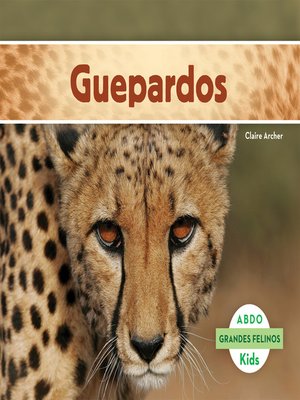 Guepardos (Cheetahs) (Spanish Version) - ebook